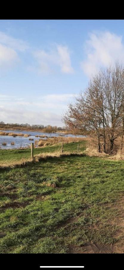 Safarihuisje Met Airco! Oisterwijk Exterior foto